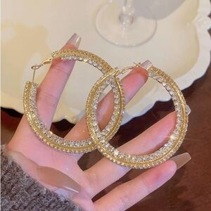 Elegant Gold Hoop Earrings